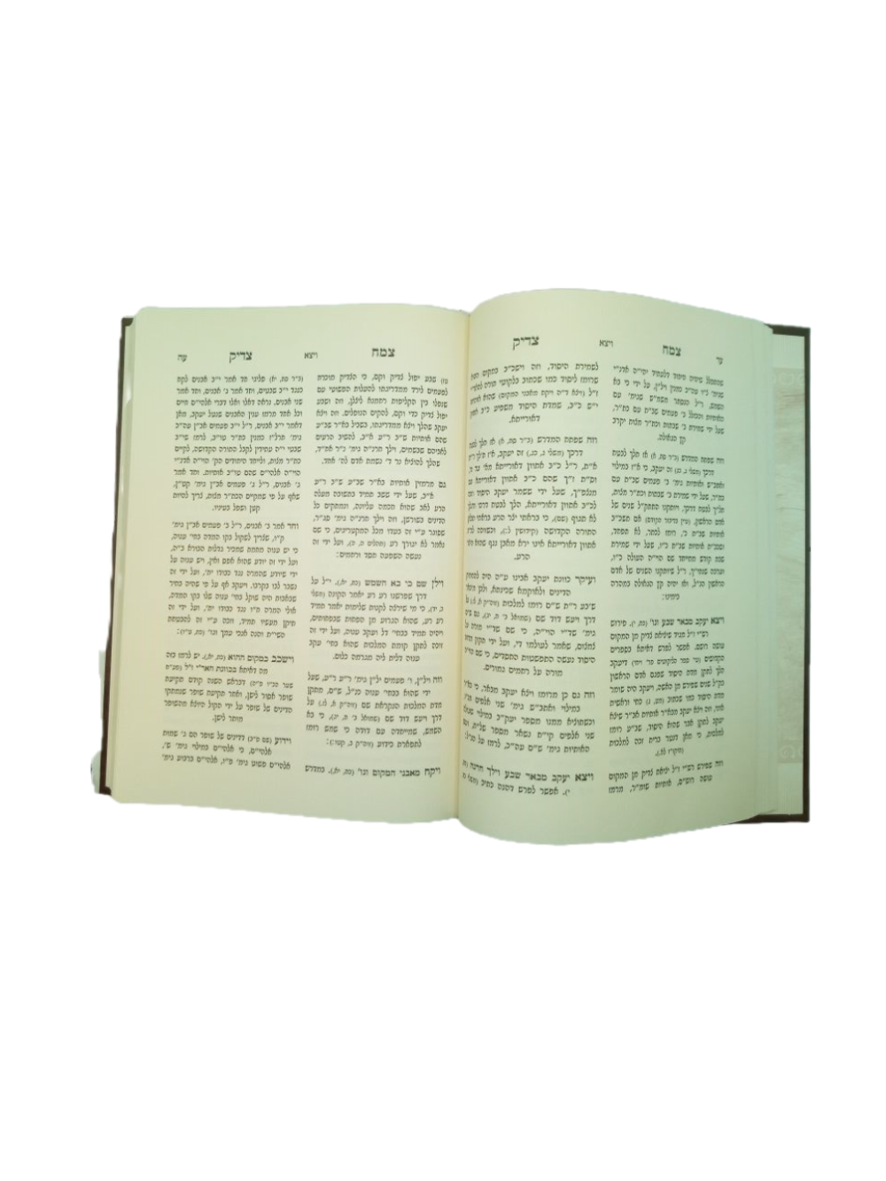 צמח צדיק - עה"ת ומועדים - וויזניץ