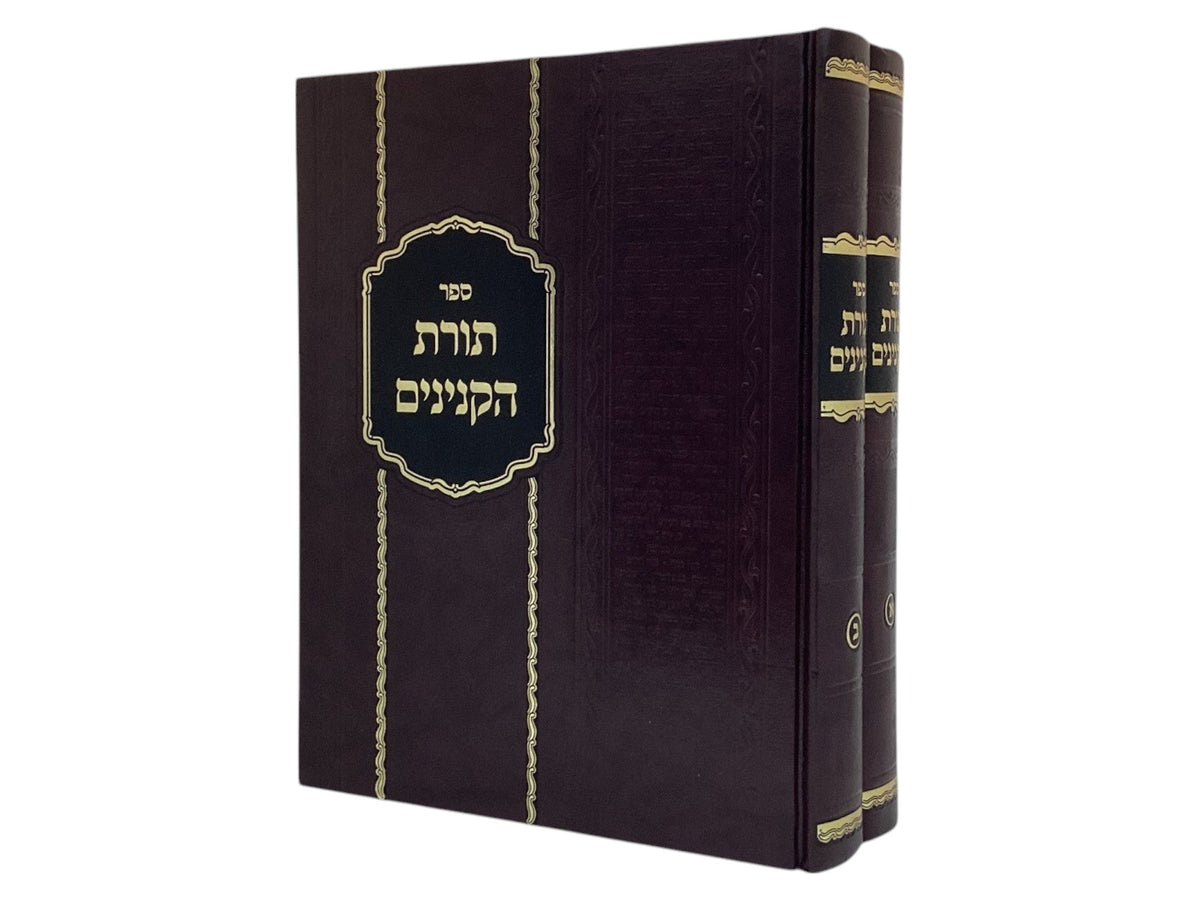 תורת הקנינים ב"כ