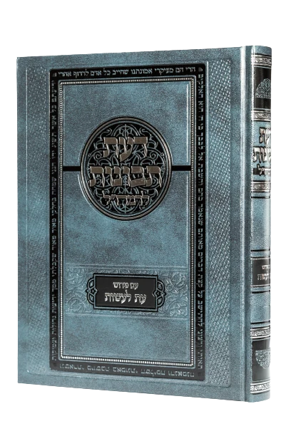 דעת תבונות להרמח"ל עם פירוש עת לעשות