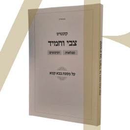 קונטרס צבי וחמיד טבלאות וסיכומים - בבא קמא