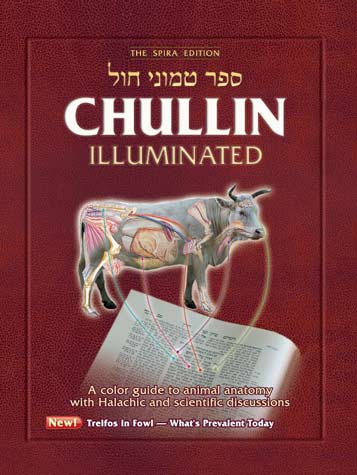 Chullin Illuminated ספר טמוני חול