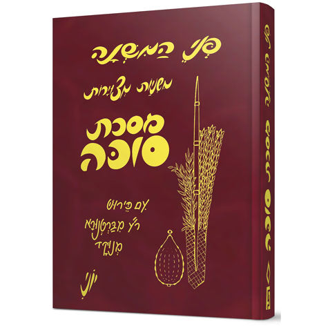 משניות מצוירת פני המשנה - סוכה