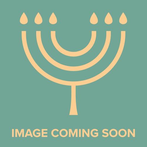 שיח יצחק - מידות עבודה - תורה - ראחמיסטריווקא
