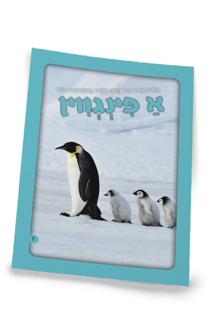 אלעס וואס איר האט נישט געוואוסט אויף - א פינגווין S/C