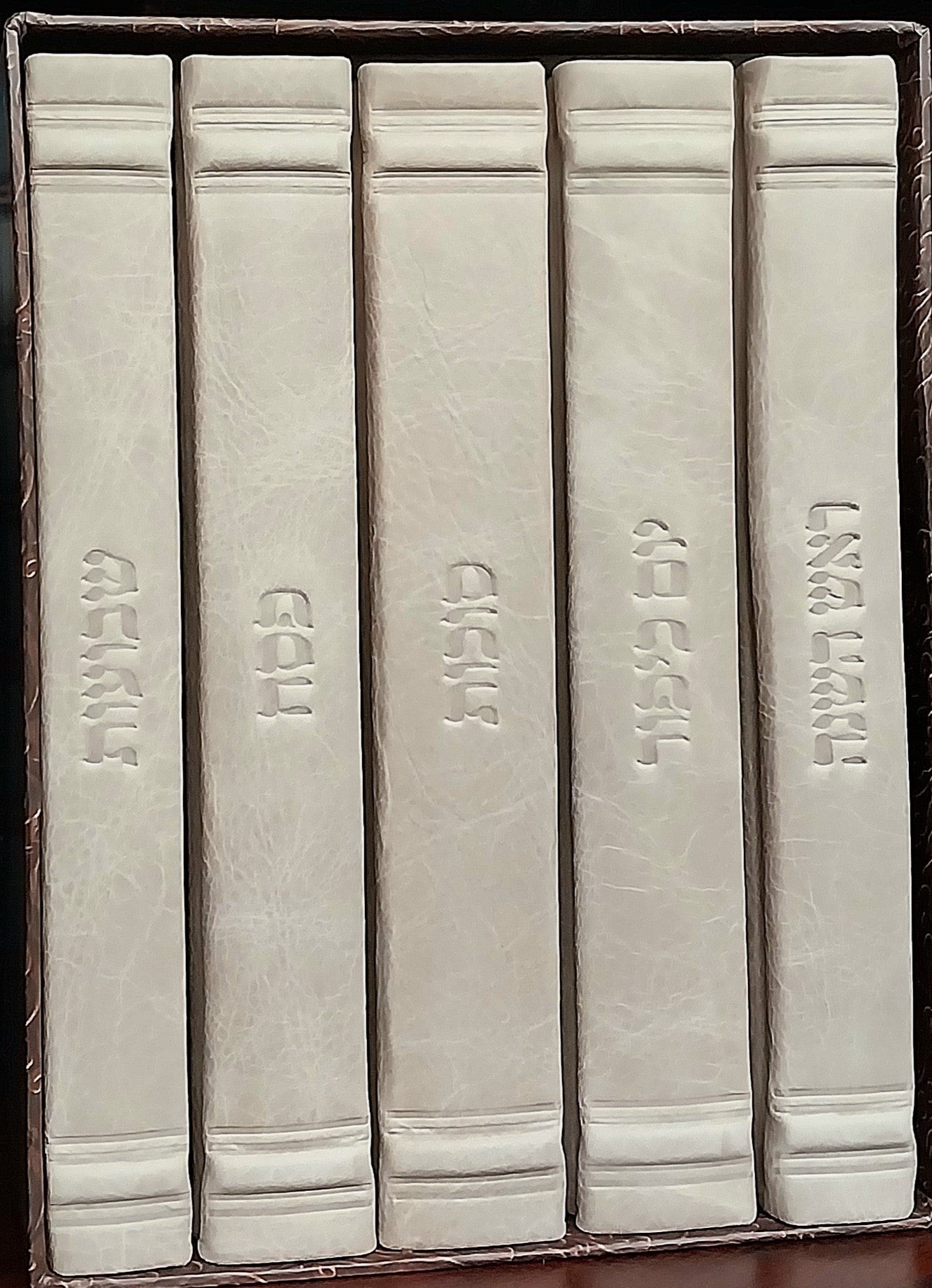 תפילה בכוונה Splendid Taupe 2024