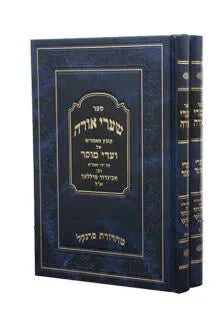 שערי אורה - ר' אביגדור מיללער - ב"כ