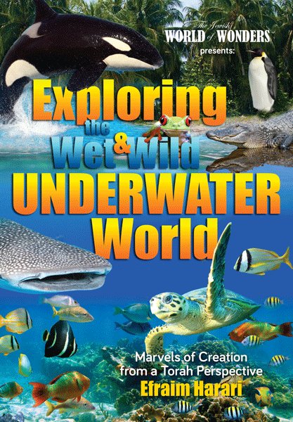 Exploring the Wet & Wild Underwater World