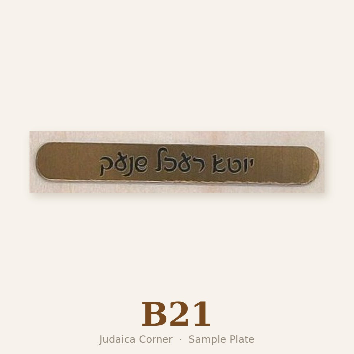 Sample plate B21