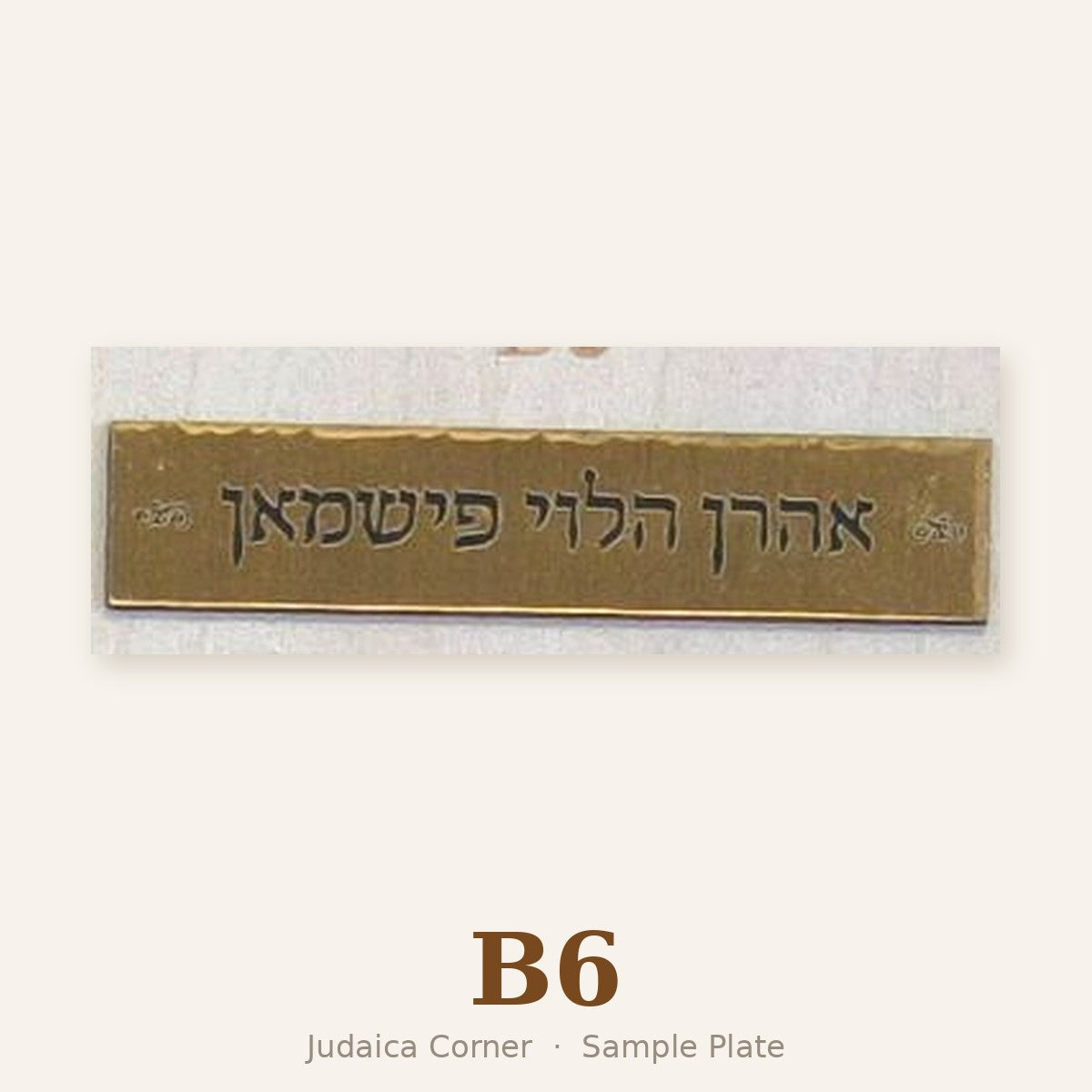 Sample plate B6