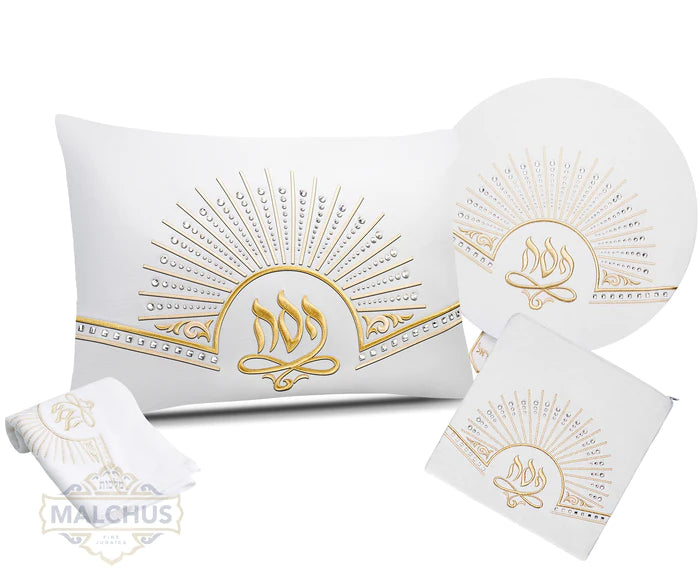 Brilliance Collection Pesach Set #826 item #9493