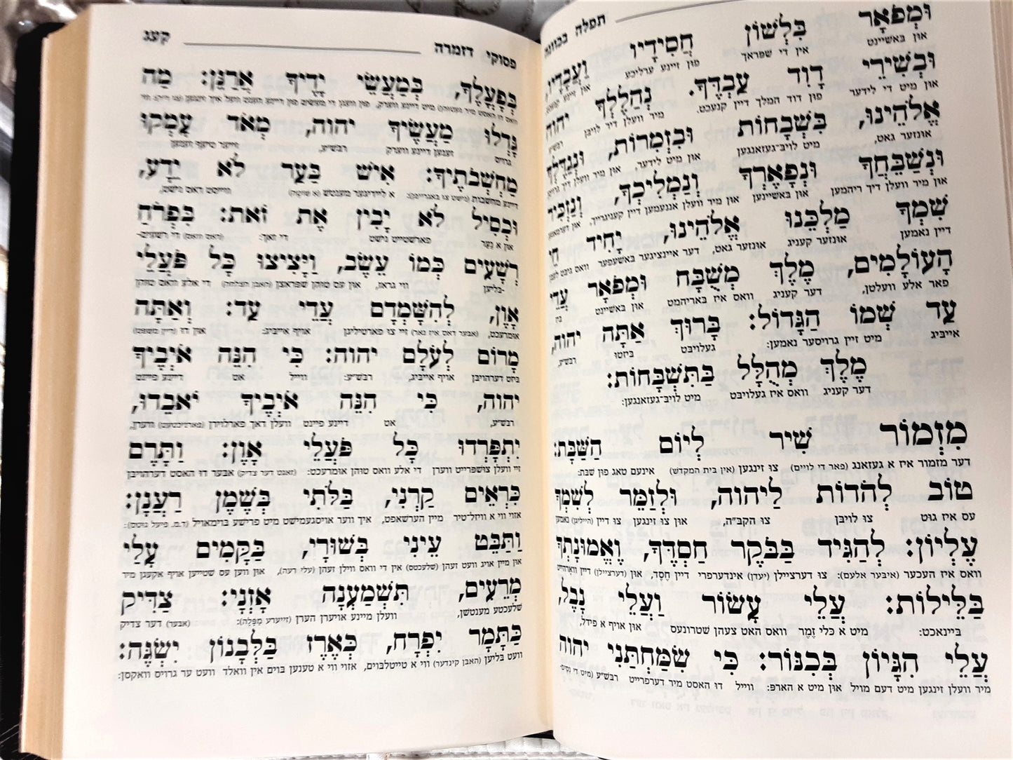 תפילה בכוונה-YIDDISH MACHZOR INSIDE SAMPLE.