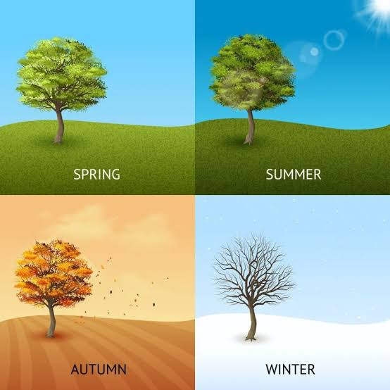 season