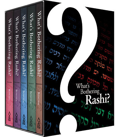 What's Bothering Rashi - Set  5 Volume