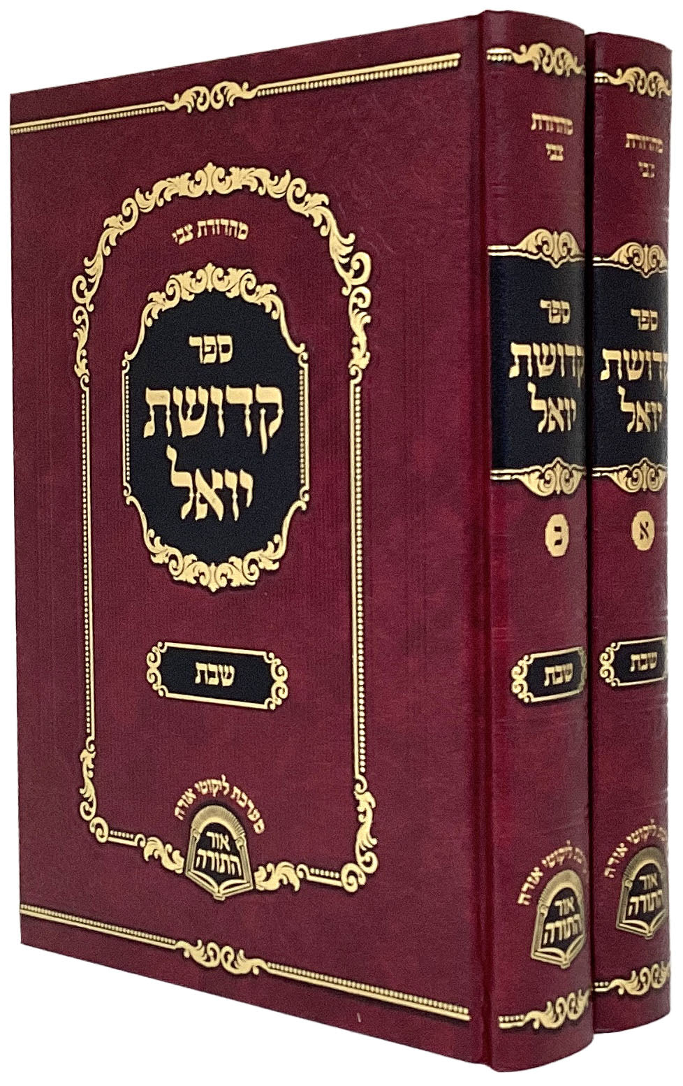 קדושת יואל - שבת ב"כ