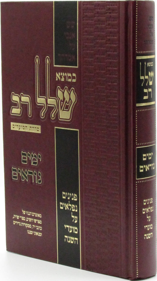 כמוצא שלל רב - ימים נוראים