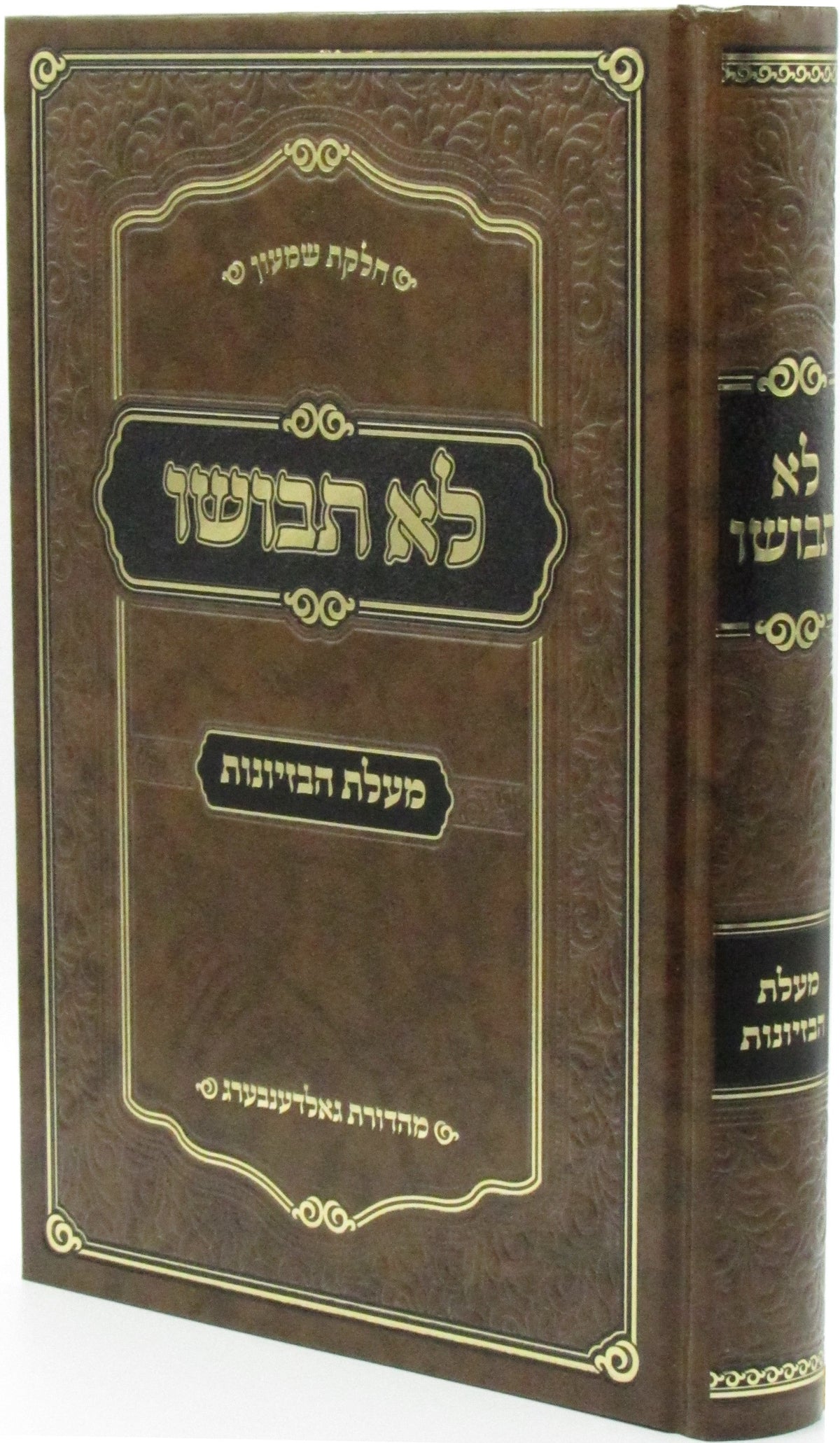 לא תבושו - מעלת הבזיונות