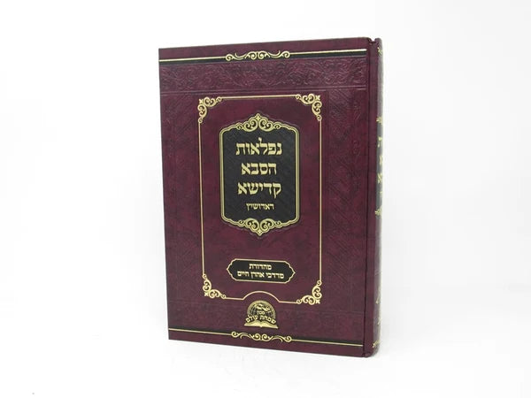 נפלאות הסבא קדישא מראדישיץ החדש