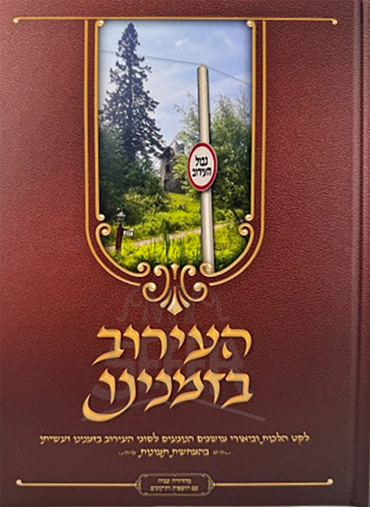 העירוב בזמננו