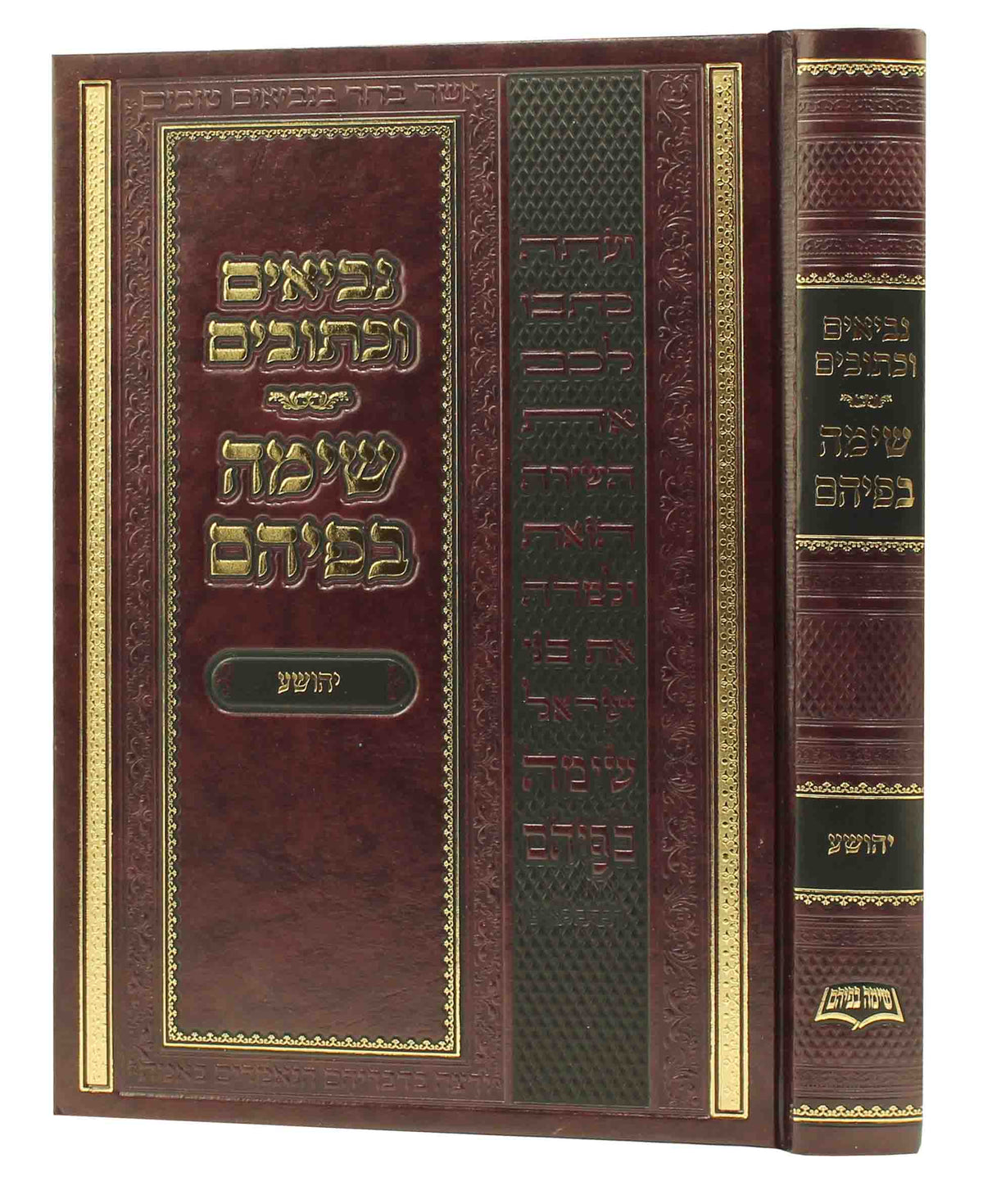 נ"ך - שימה בפיהם - יהושע