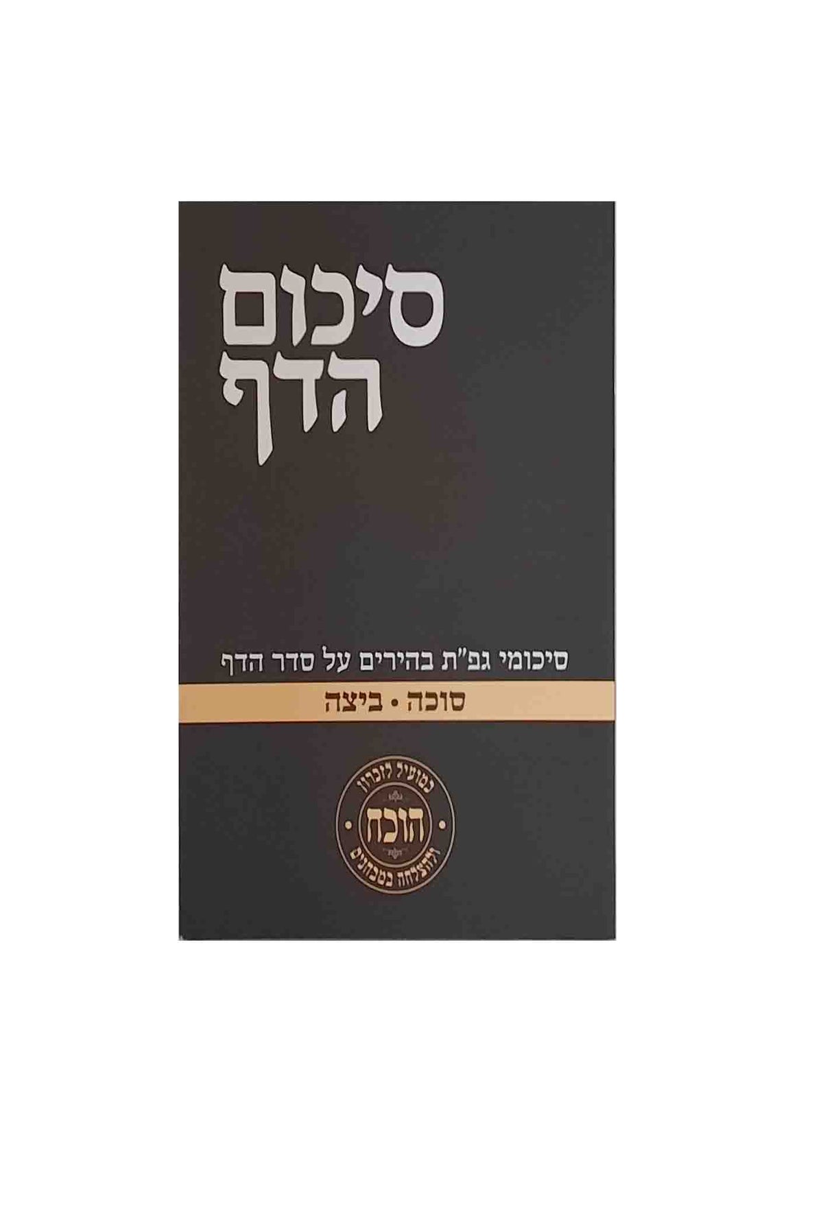 סיכום הדף - סוכה ביצה S/C