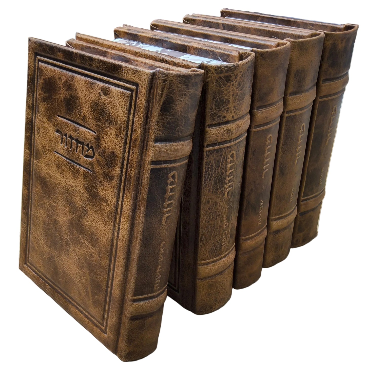 מחזור מאור החיים ויזניץ בינוני Antique Light Brown - Frame [TJ]