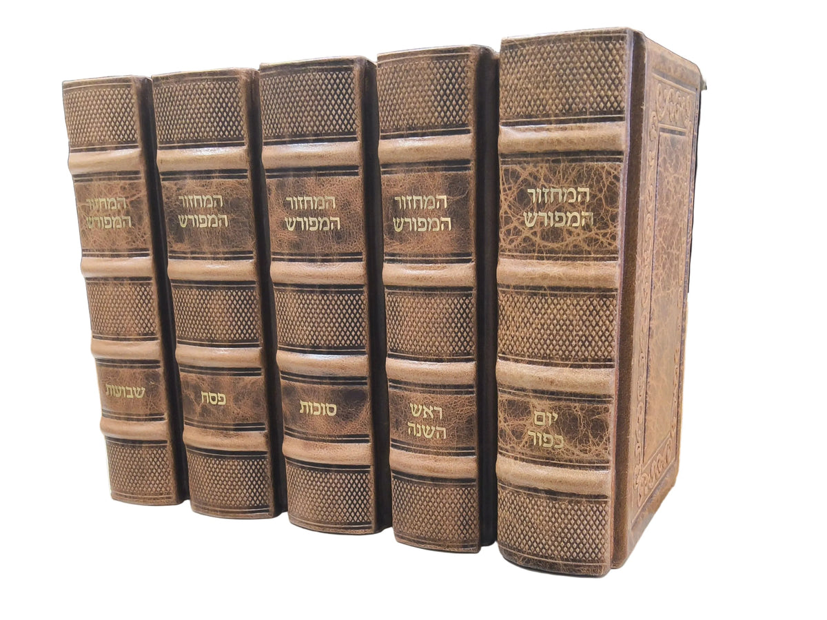 מחזור המפורש החדש - ספרד Antique Camel Brown [KM]