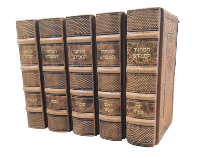 מחזור המפורש החדש - ספרד Antique Camel Brown [KM]