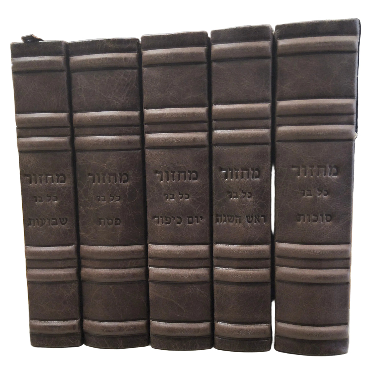 סט מחזור כל בו המבואר גדול Antique Premium Walnut [61]