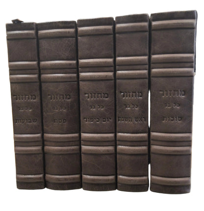 סט מחזור כל בו המבואר גדול Antique Premium Walnut [61]