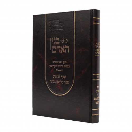 בנין האדם