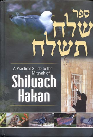Shiluach Hakan, a Practical Guide - שלח תשלח