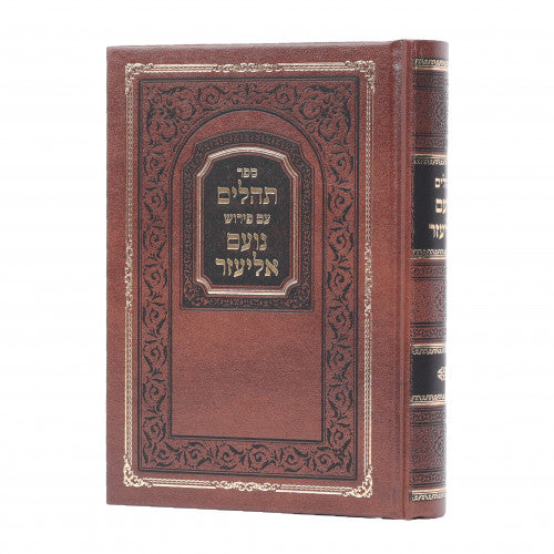 תהילים נועם אליעזר
