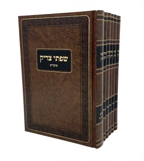 שפתי צדיק -עה''ת -ו''כ -פילץ