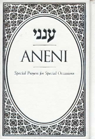 Aneni: English Ed. Simche Edi