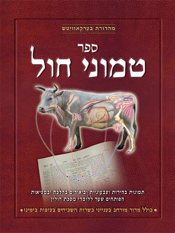 ספר טמוני חול