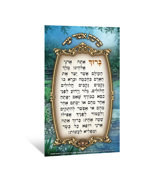 אשר יצר Pocket #65200