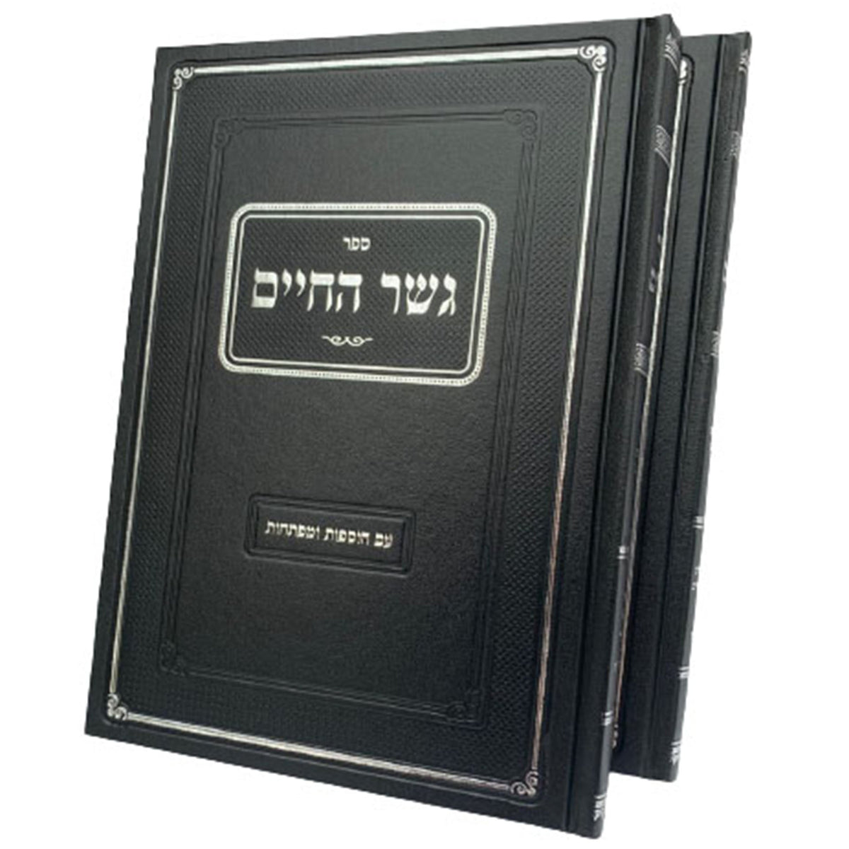 גשר החיים - אבילות ב"כ