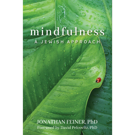 Mindfulness A Jewish Approach