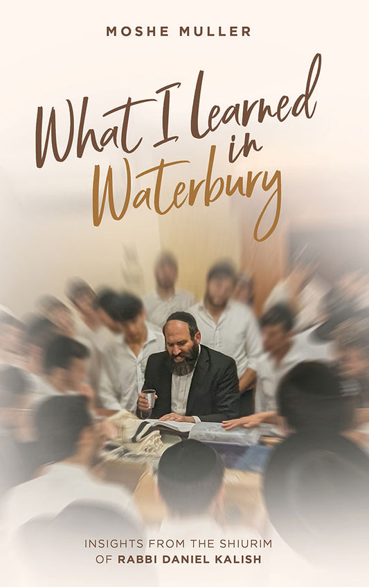 What I Learned in Waterbury