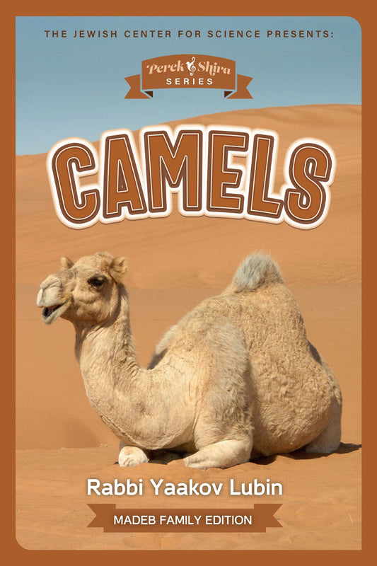 Perek Shira Series: Camels — Rabbi Yaakov Lubin (Illustrated Children's Book, Jewish Center for Science)