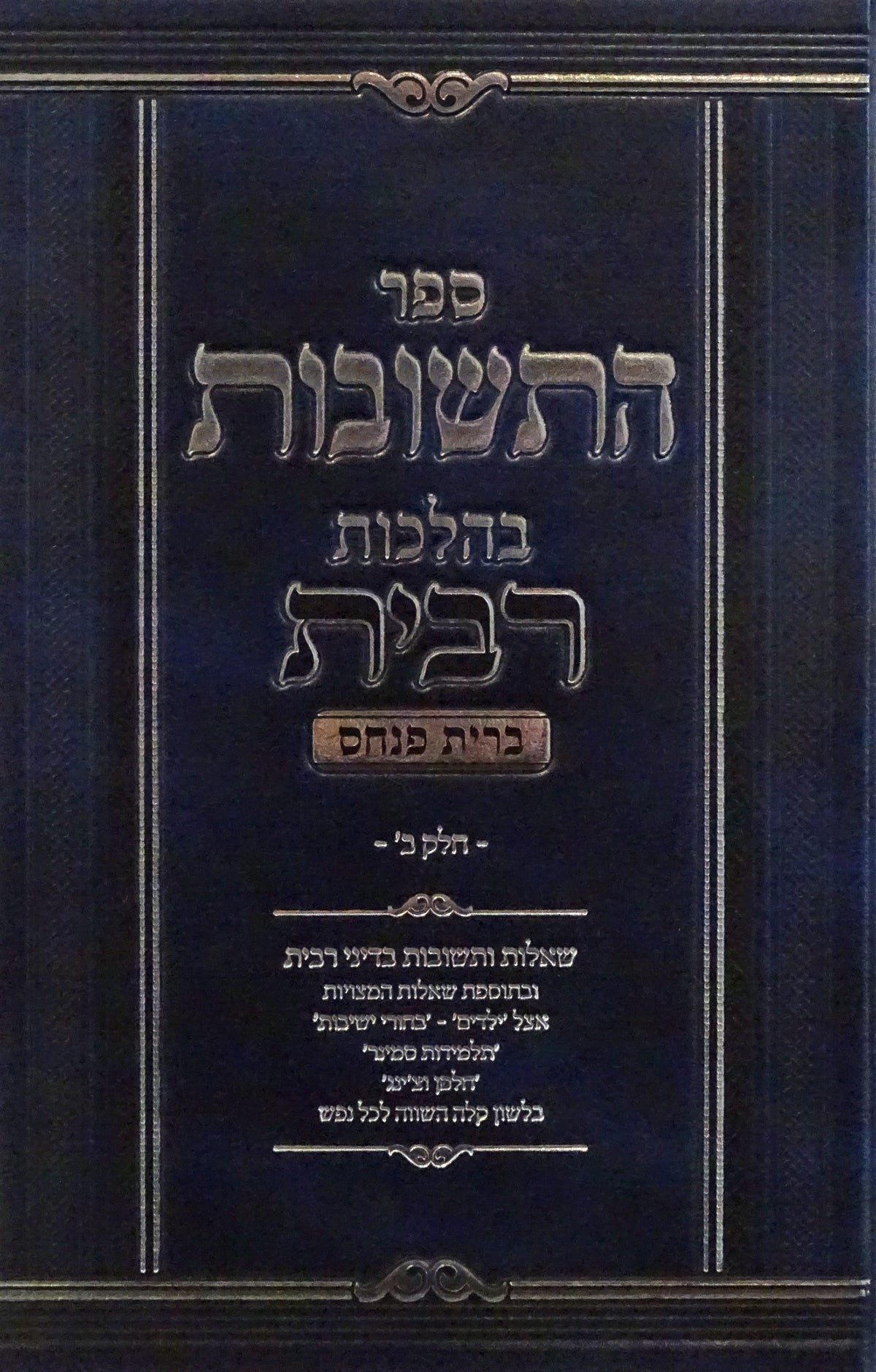 ספר התשובות ברית פנחס - רבית ח"ב
