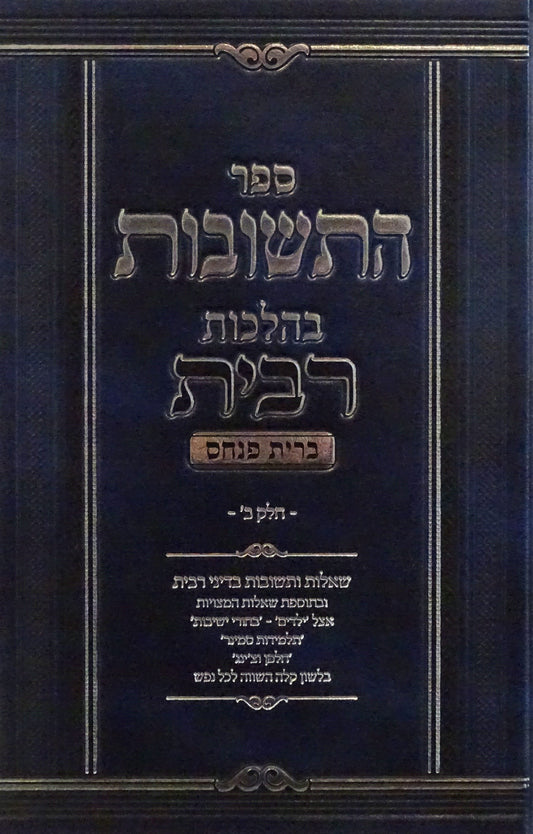ספר התשובות ברית פנחס - רבית ח"ב
