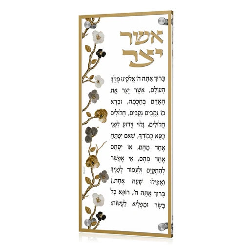 Lucite Asher Yatzar - Ornate Garden [FT]