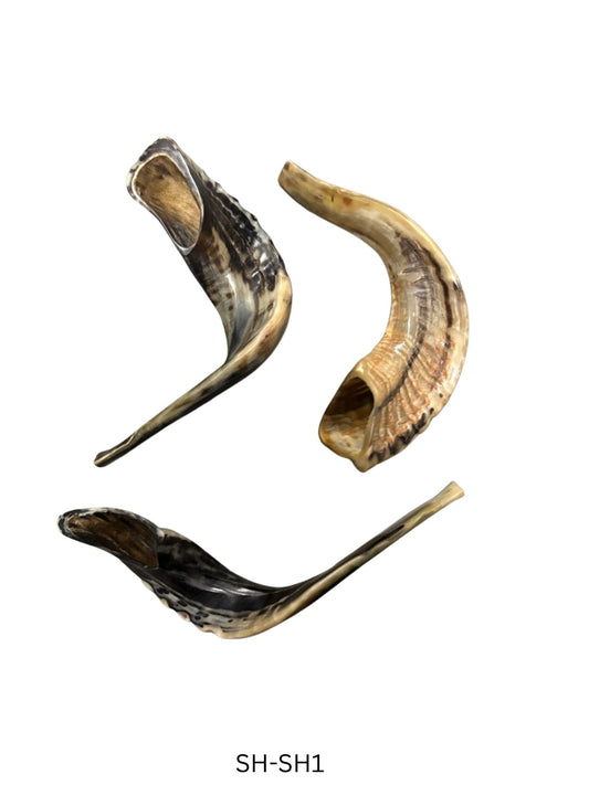 SHOFAR #3