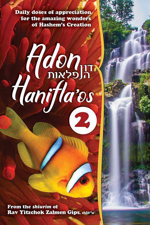 Adon Hanifaos #2 - הרב יצחק זלמן גיפס