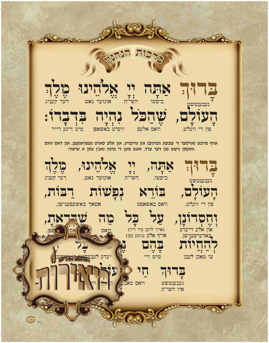 ברכת הנהנין Large Magnet Discontinued