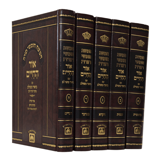 חומש אור החיים עם ביאור משולב - ה"כ