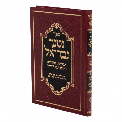 נטעי גבריאל - תגלחת הילדים