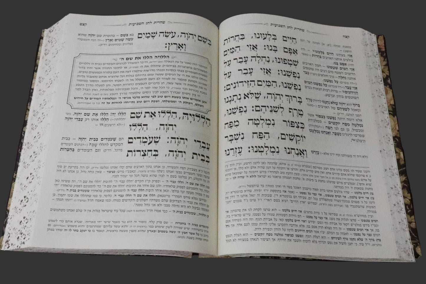 מחזור המפורש ענק Antique Bronze [79]