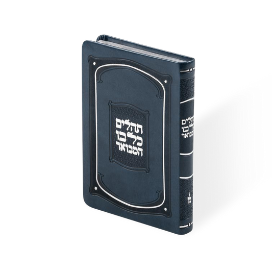 תהלים כל בו מאירות כיס בינוני Flexi Cover Blue